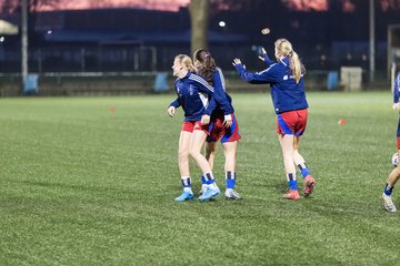 Bild 95 - wBJ Hamburger SV - Eimsbuettler TV 2 : Ergebnis: 16:0